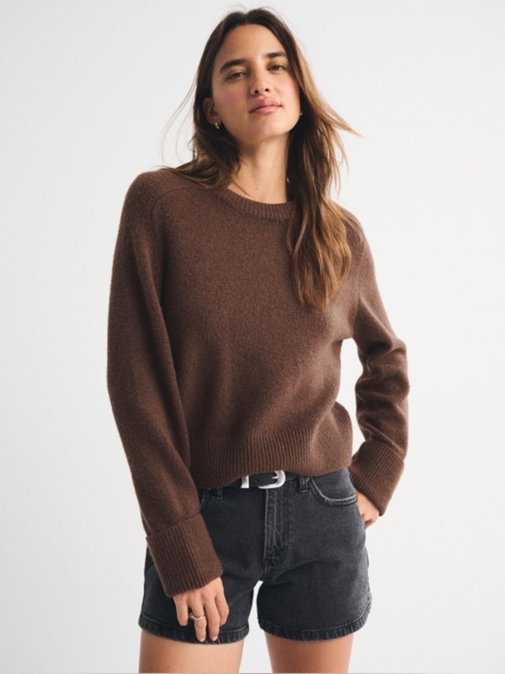The A&F Madeline Crew Sweater